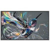Philips Pantalla de Señalización 54.6' 4K Ultra HD