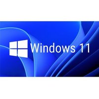Microsoft Windows 11 Home 64 Bits (kw9-00638)