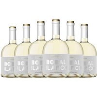 Vino Blanco Vicente Gandía Utiel-Requena 75 Cl (Pack de 6)