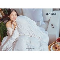 Edredón Nórdico Gobi Bentley 180 Gr/m2 (150cm)