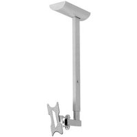 Reflecta Pallas 85 Soporte Techo Extensible