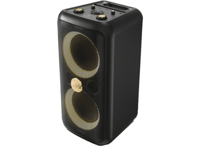 Altavoz PEAQ PPS 200-RW 80W Negro