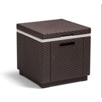 Ice Cube Marron 209457