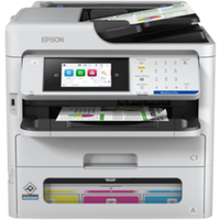 Impresora Epson Workforce Pro WF-C800DWF