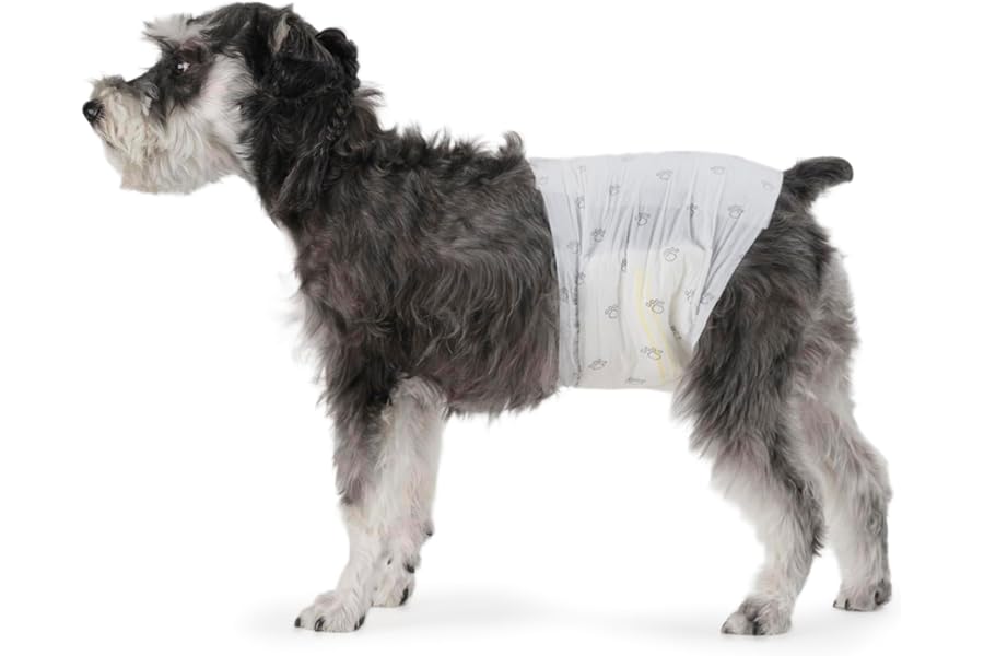 Amazon Basics Pañales Desechables para Perros Macho, M, Paquete de 50