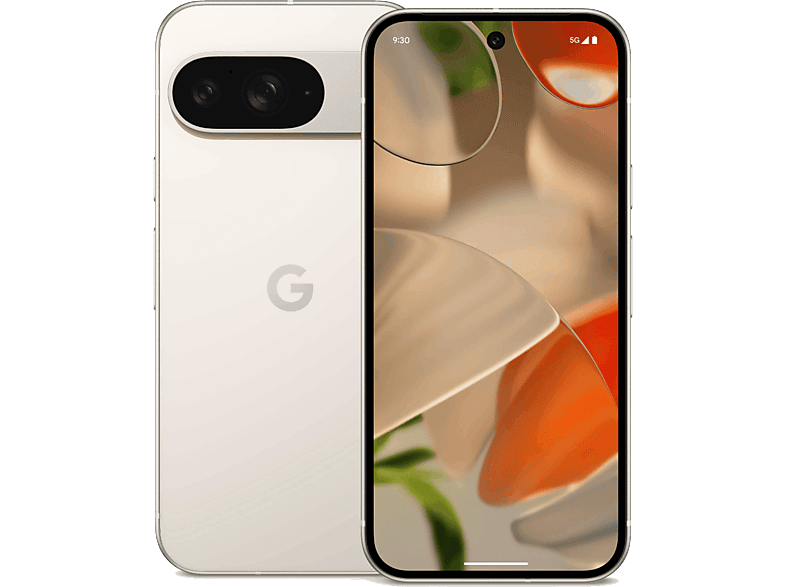 Google Pixel 9 256 GB 12 GB RAM Tensor G4