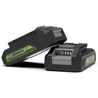 Batería Greenworks 24V 2Ah