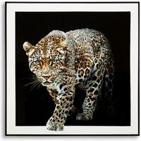 Jaguar Lacado "Cuadro Sobre Lienzo" 82x82cm