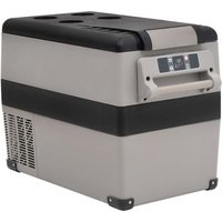 Nevera con Asa PP y PE 55 L